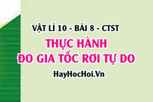 Thực hành đo gia tốc rơi tự do - Vật lí 10 bài 8 CTST